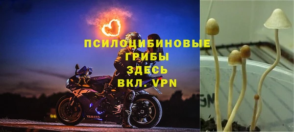 mix Кукмор